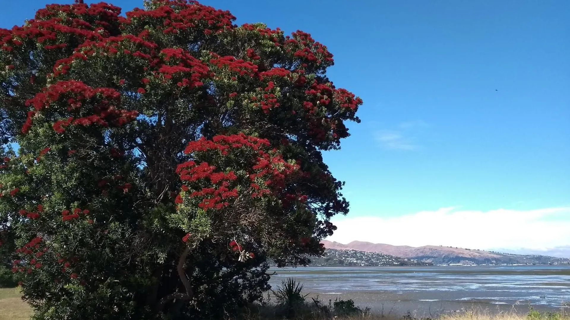 South Brighton Holiday Park Christchurch